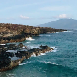 Meet your Posher, Sophia